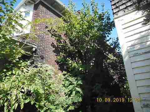 2144 Dickerson (3)_m.jpg